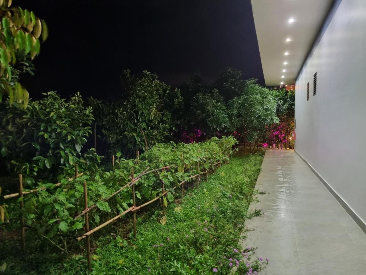 Homestay Vuon Trai Cay Nhiet Doi Vo Uu Garden Bao Loc Εξωτερικό φωτογραφία