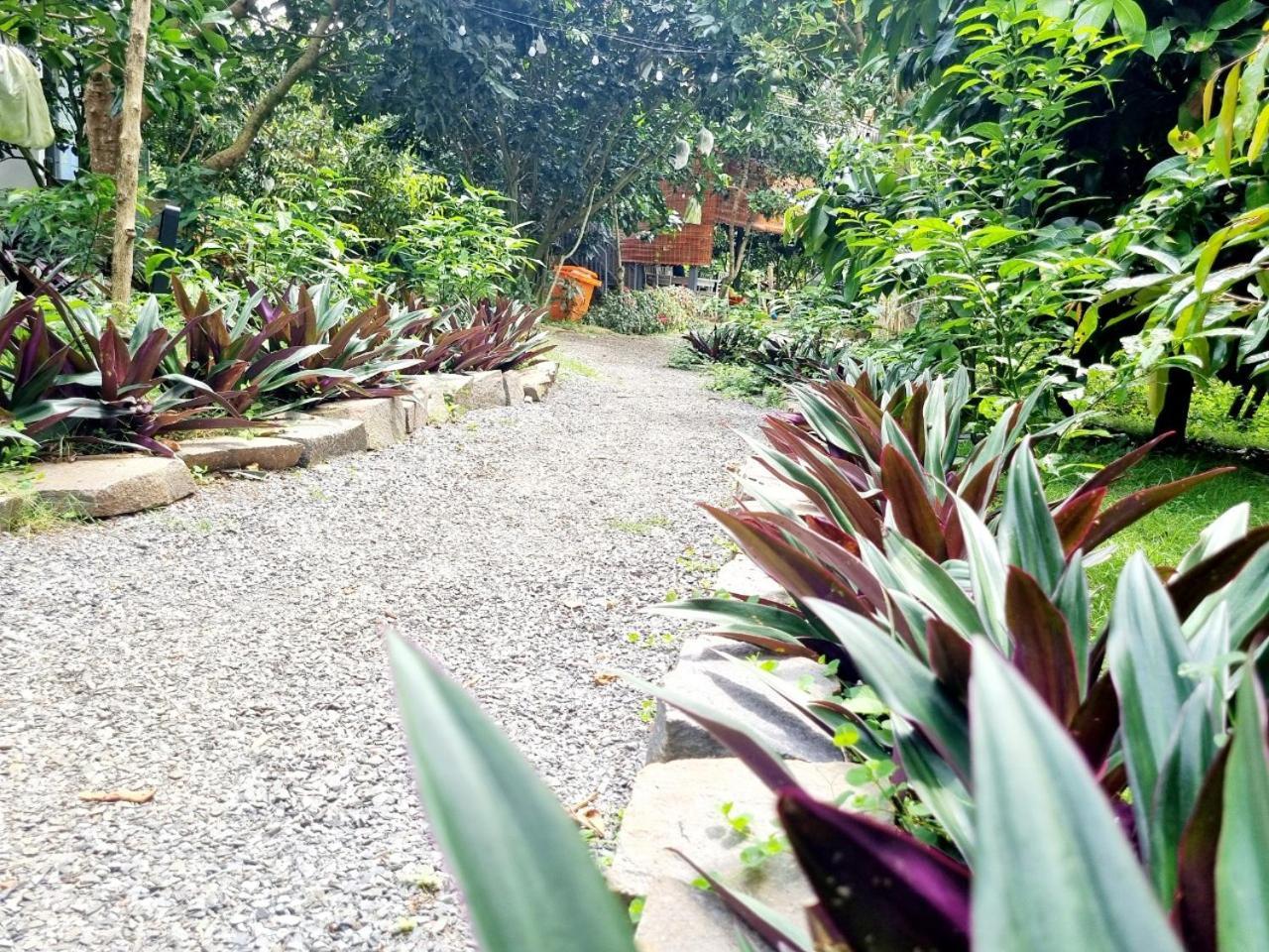 Homestay Vuon Trai Cay Nhiet Doi Vo Uu Garden Bao Loc Εξωτερικό φωτογραφία